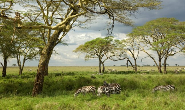 Escape to the World's Breathtaking Islands