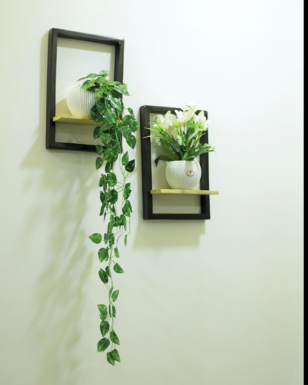 Kaash Villa Indore