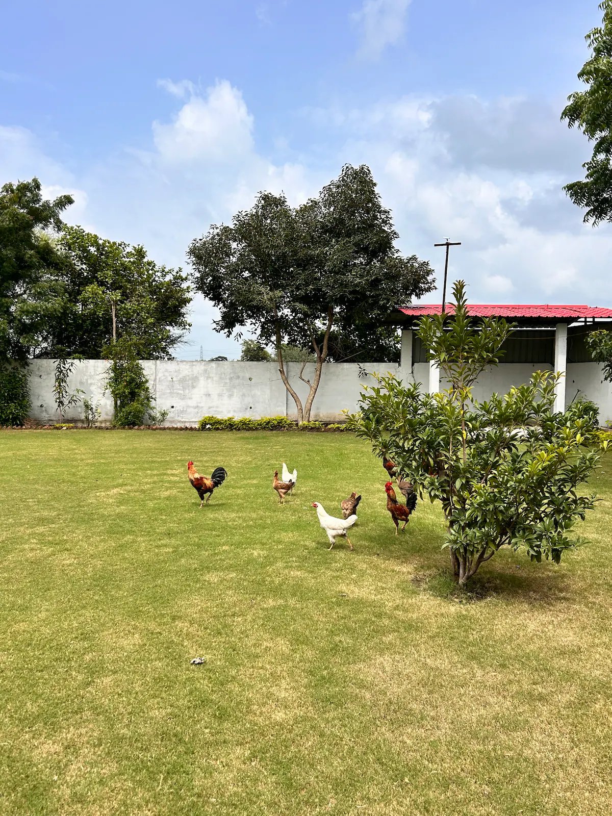 Andaz Royale Indore