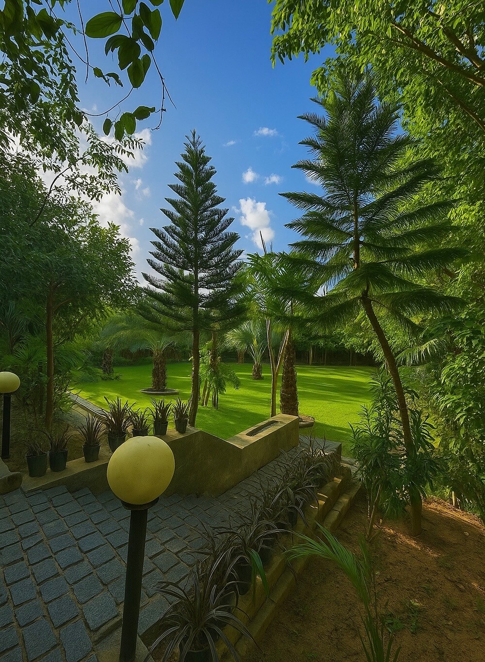 Wood Heaven Farms Jaipur
