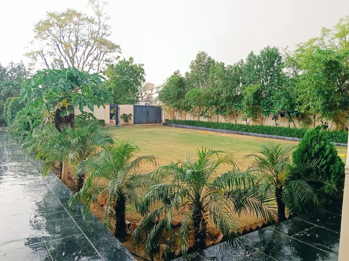 Aesthetic White Farm Jaipur