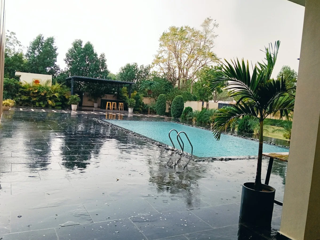 Aesthetic White Farm Jaipur