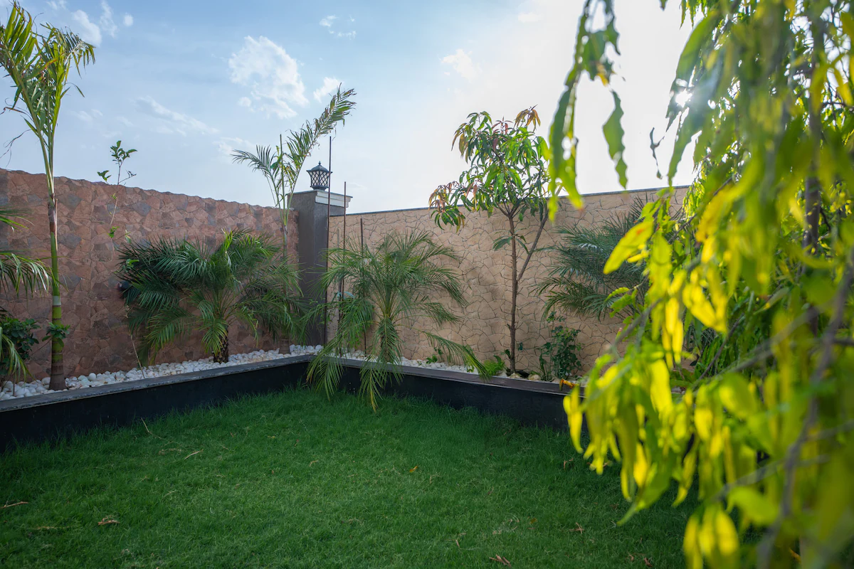 House of Aavi Jaipur