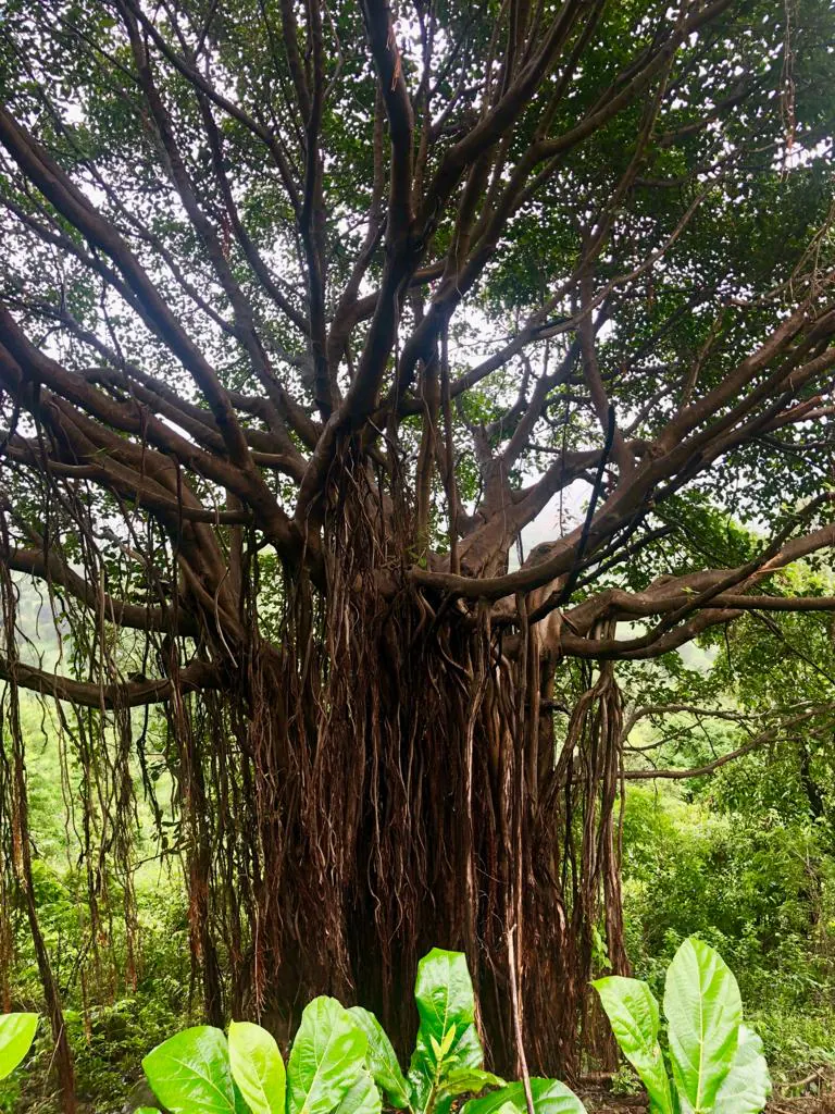 Mrudgandh Pool Villa Lonavala