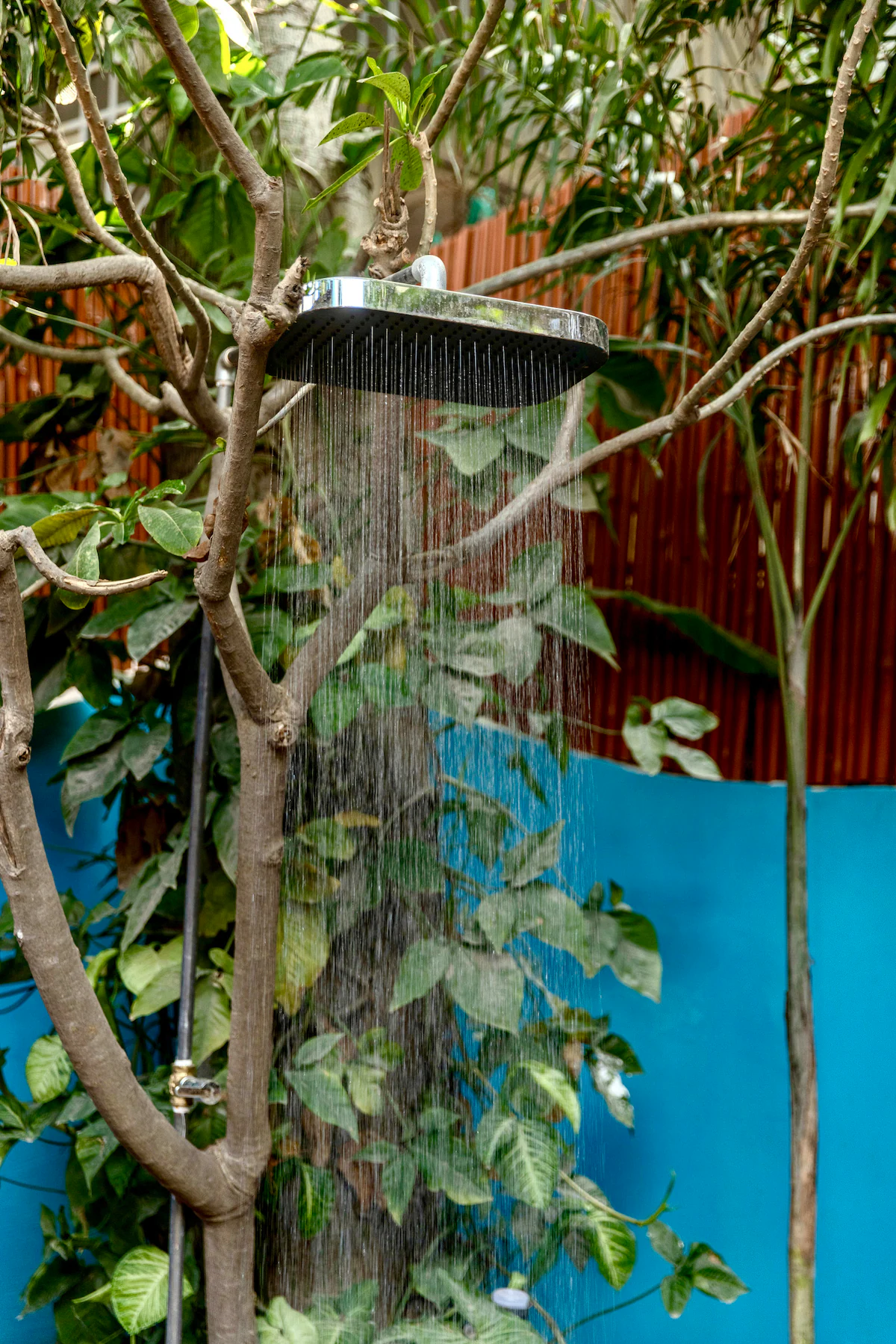 Casa Azulo Gurgaon