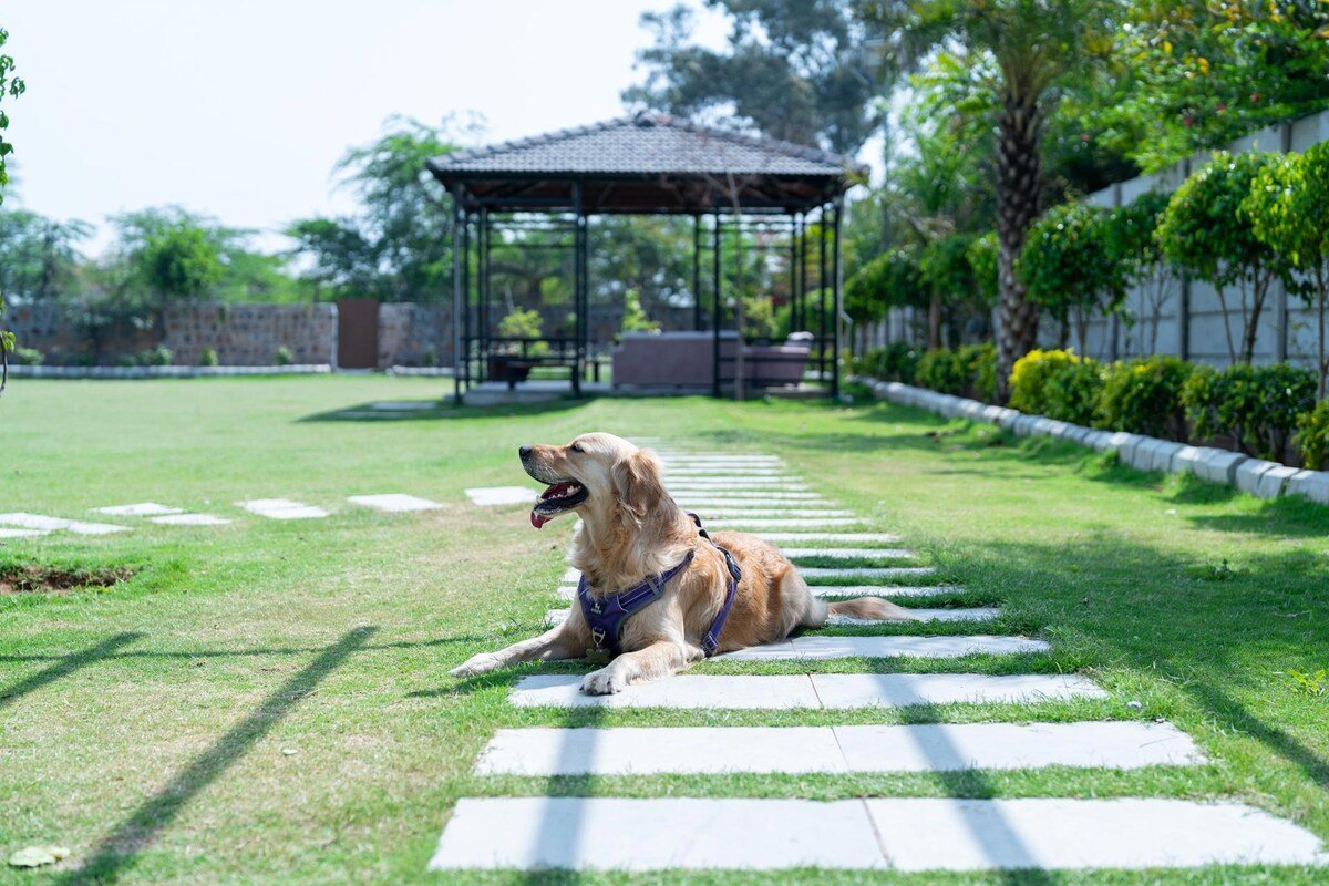 Francolin Farms Sohna