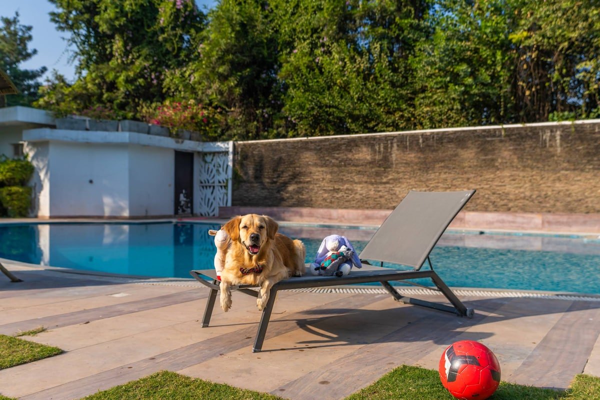 Manvi Estate Gurgaon