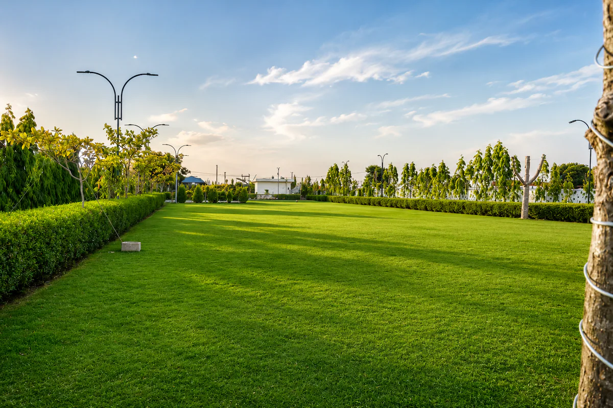 Vianara Boutique Resort Jaipur
