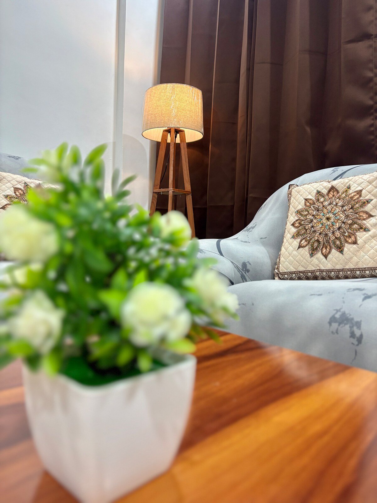 Casa Brown Chandigarh