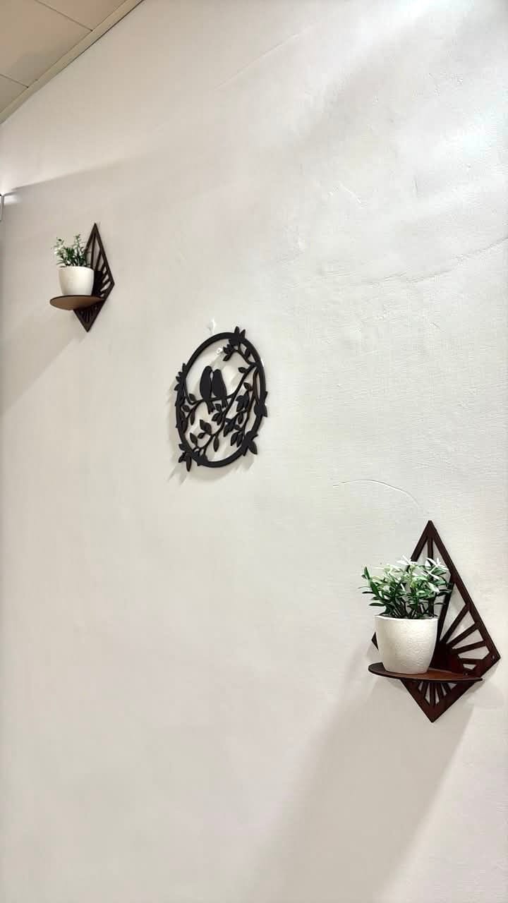 Casa Brown Chandigarh