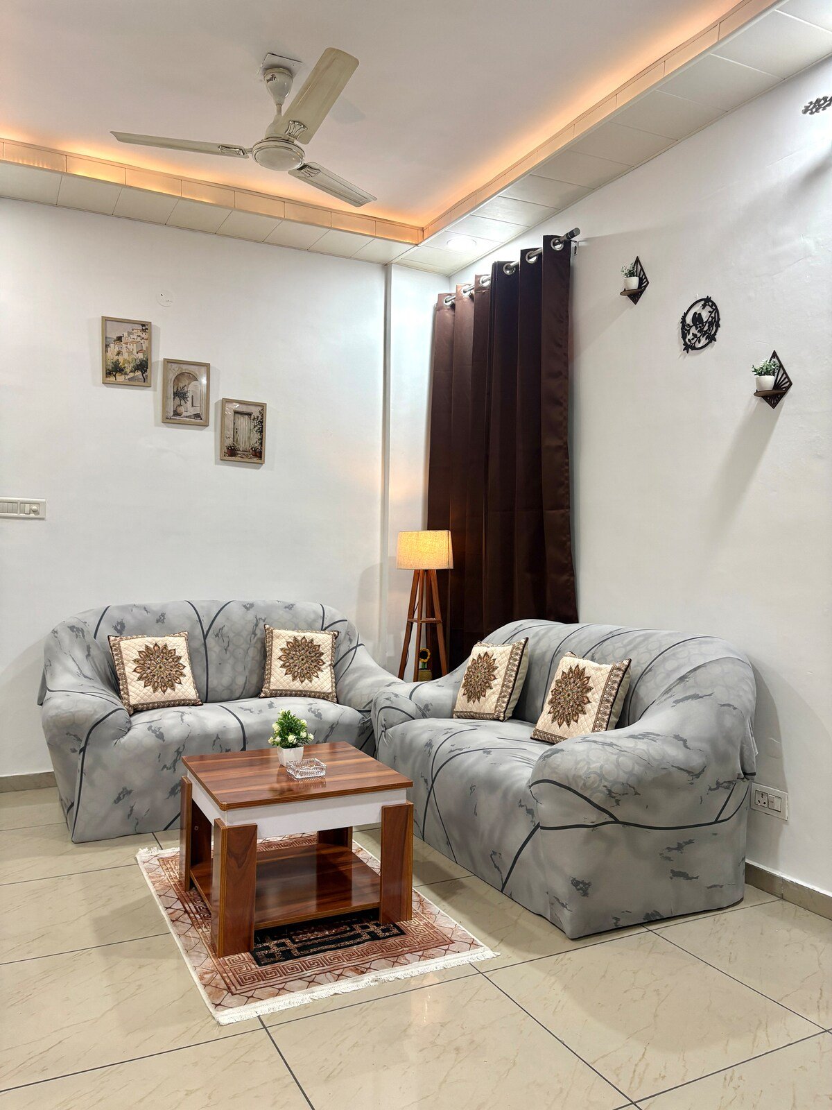 Casa Brown Chandigarh