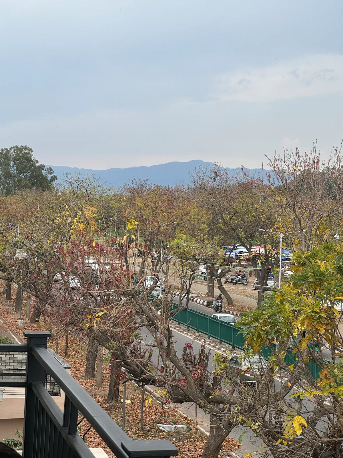 Evara: A Studio Apartment Chandigarh