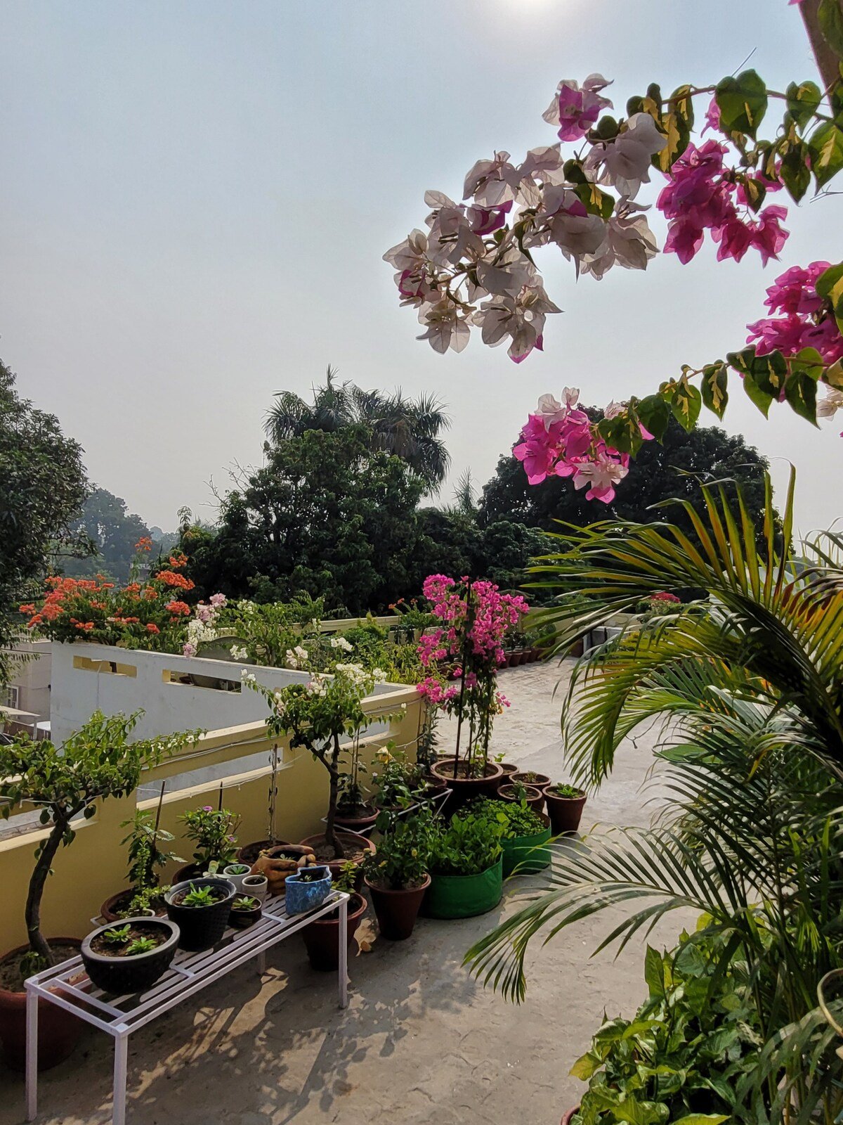 The Nest Chandigarh