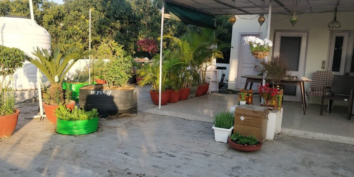 The Nest Chandigarh