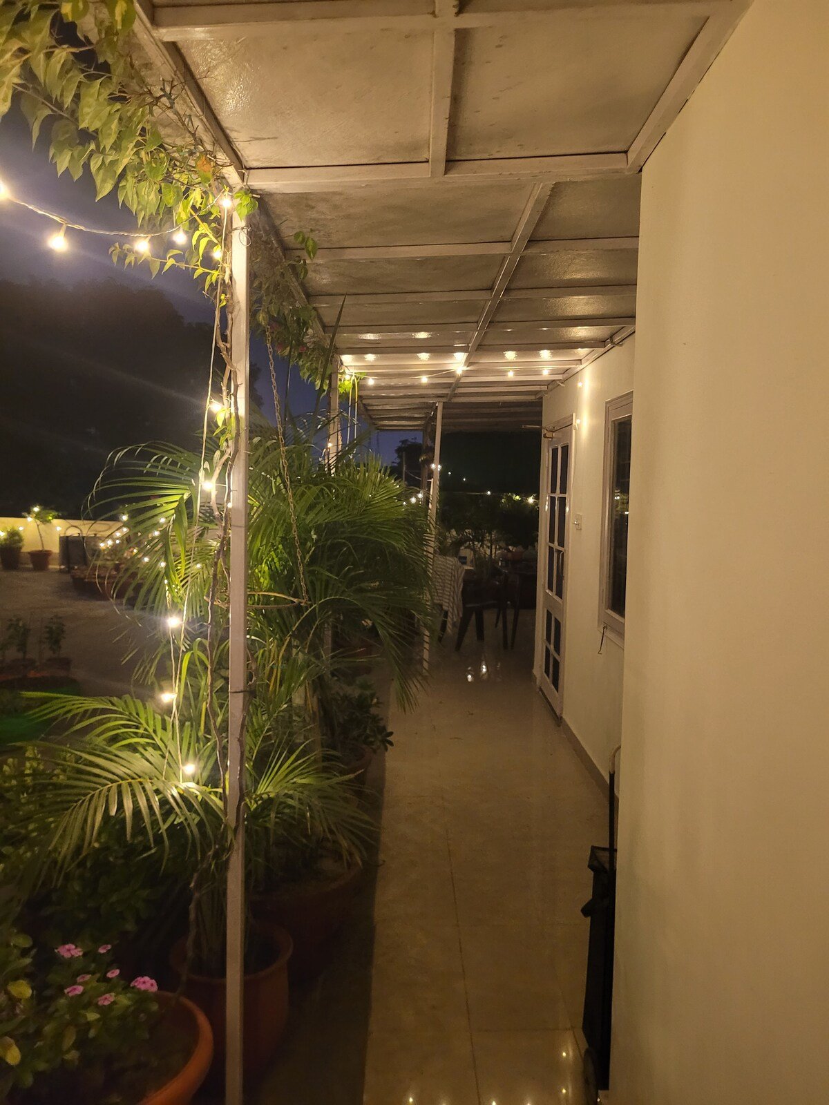 The Nest Chandigarh