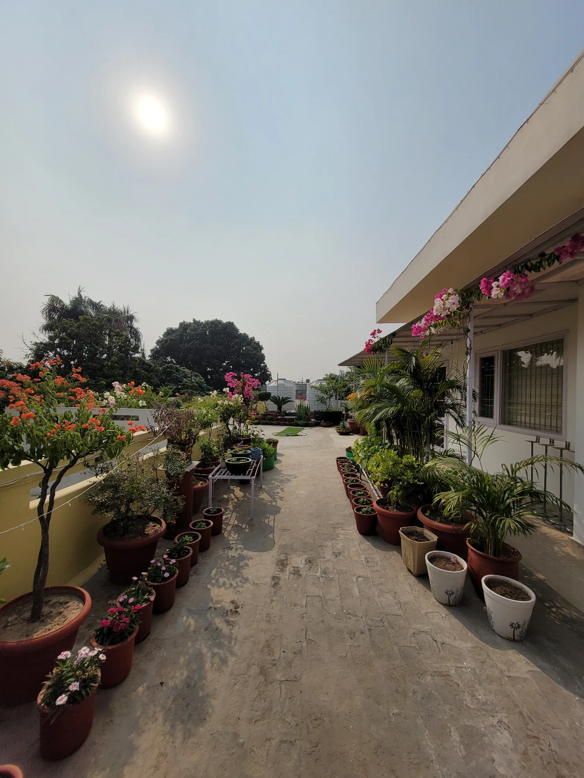 The Nest Chandigarh