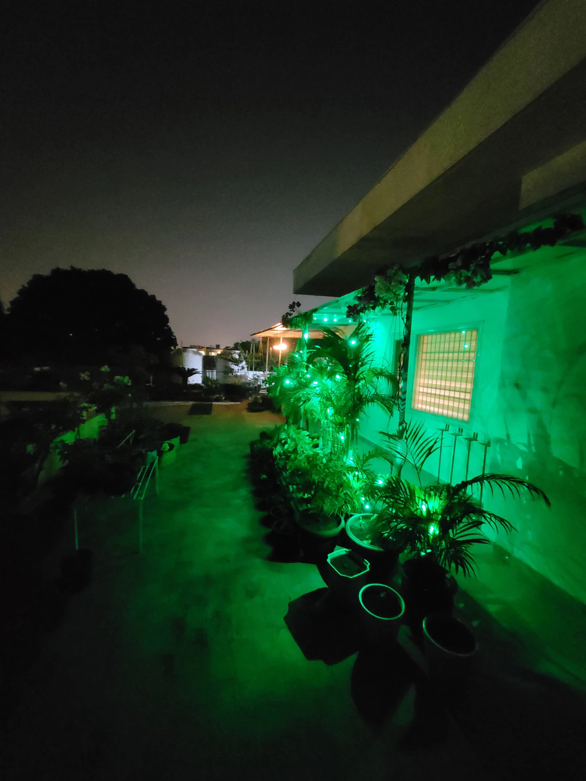 The Nest Chandigarh