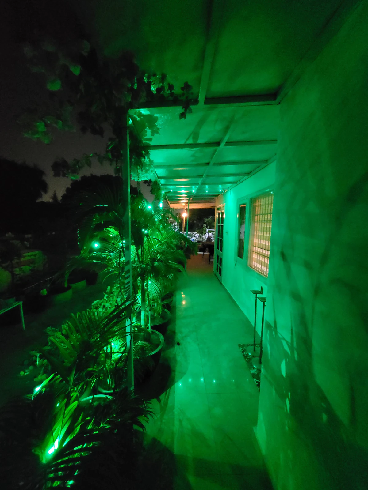 The Nest Chandigarh