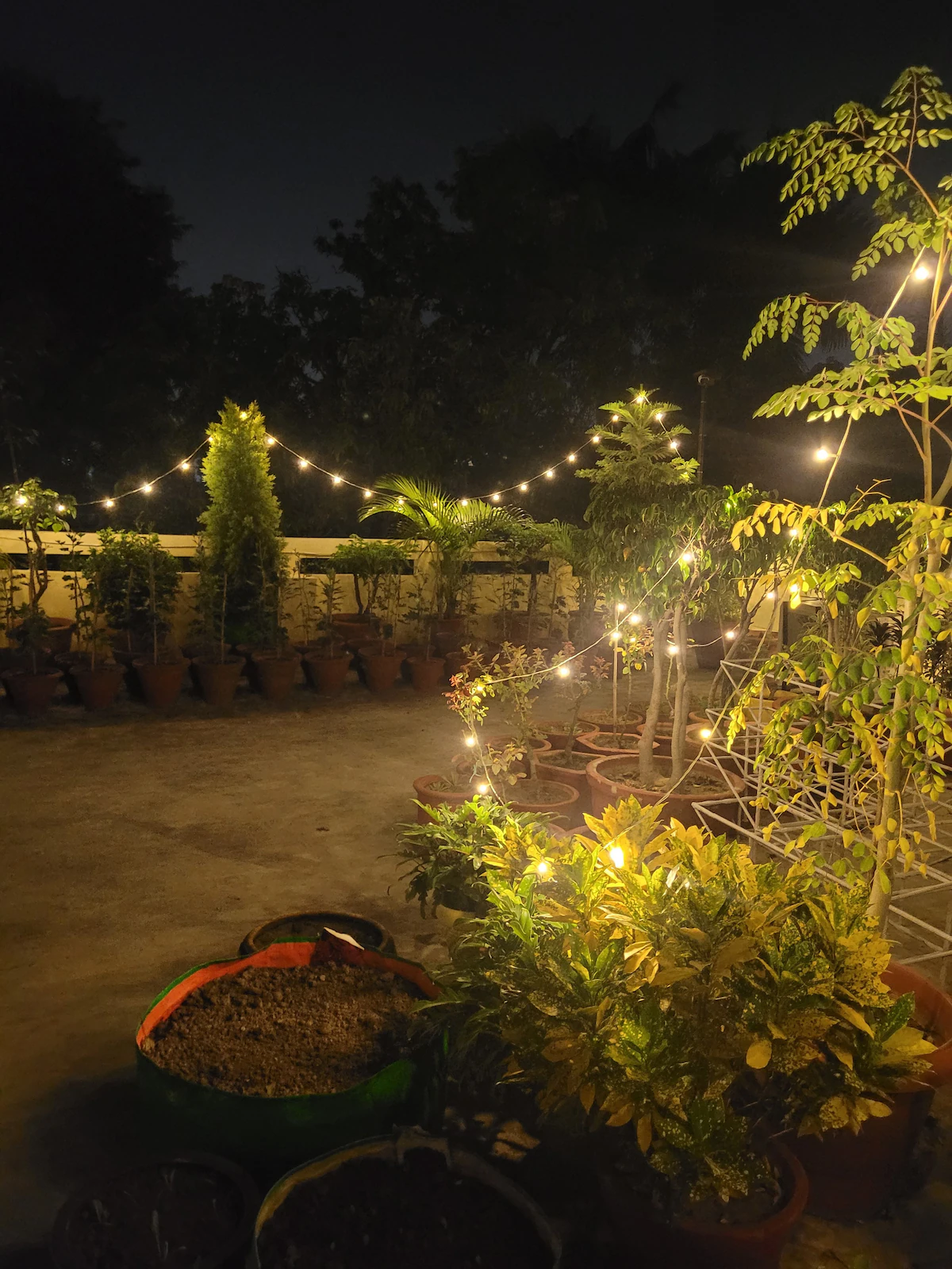 The Nest Chandigarh
