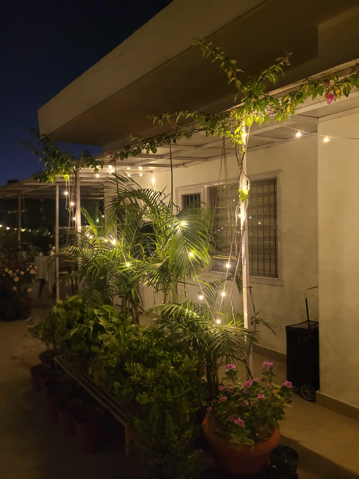 The Nest Chandigarh