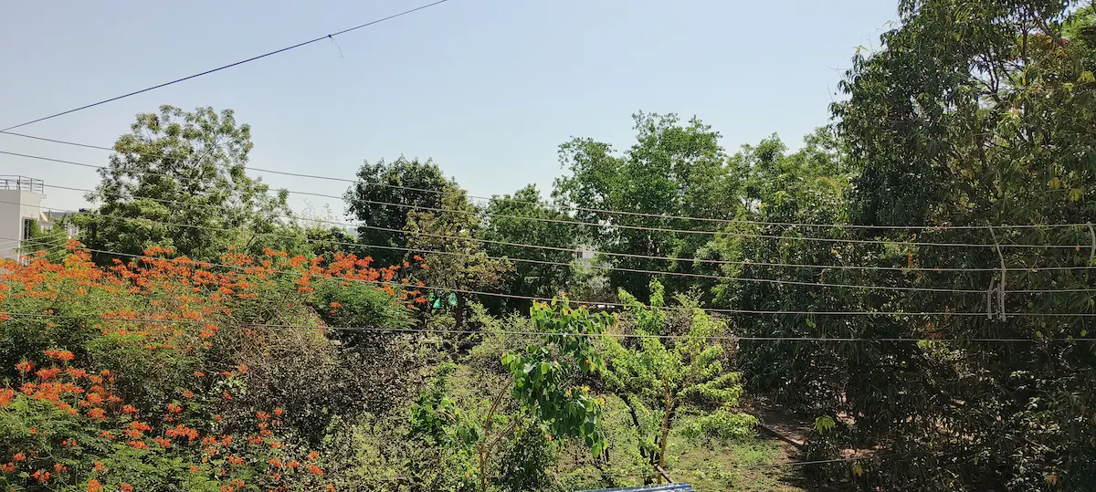 Peaceful Pilgrim's Rest Ujjain