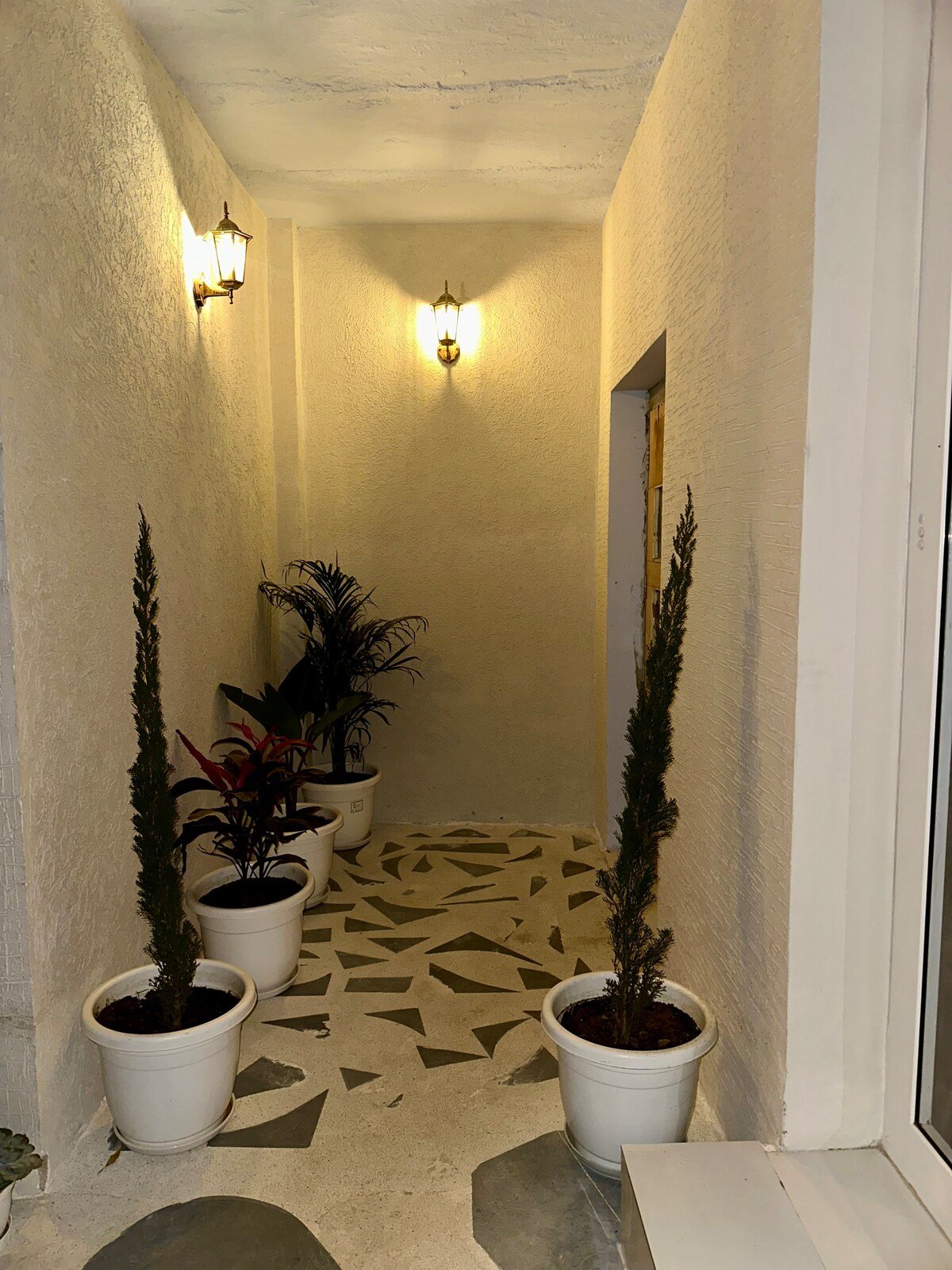 Synnefa Jaipur