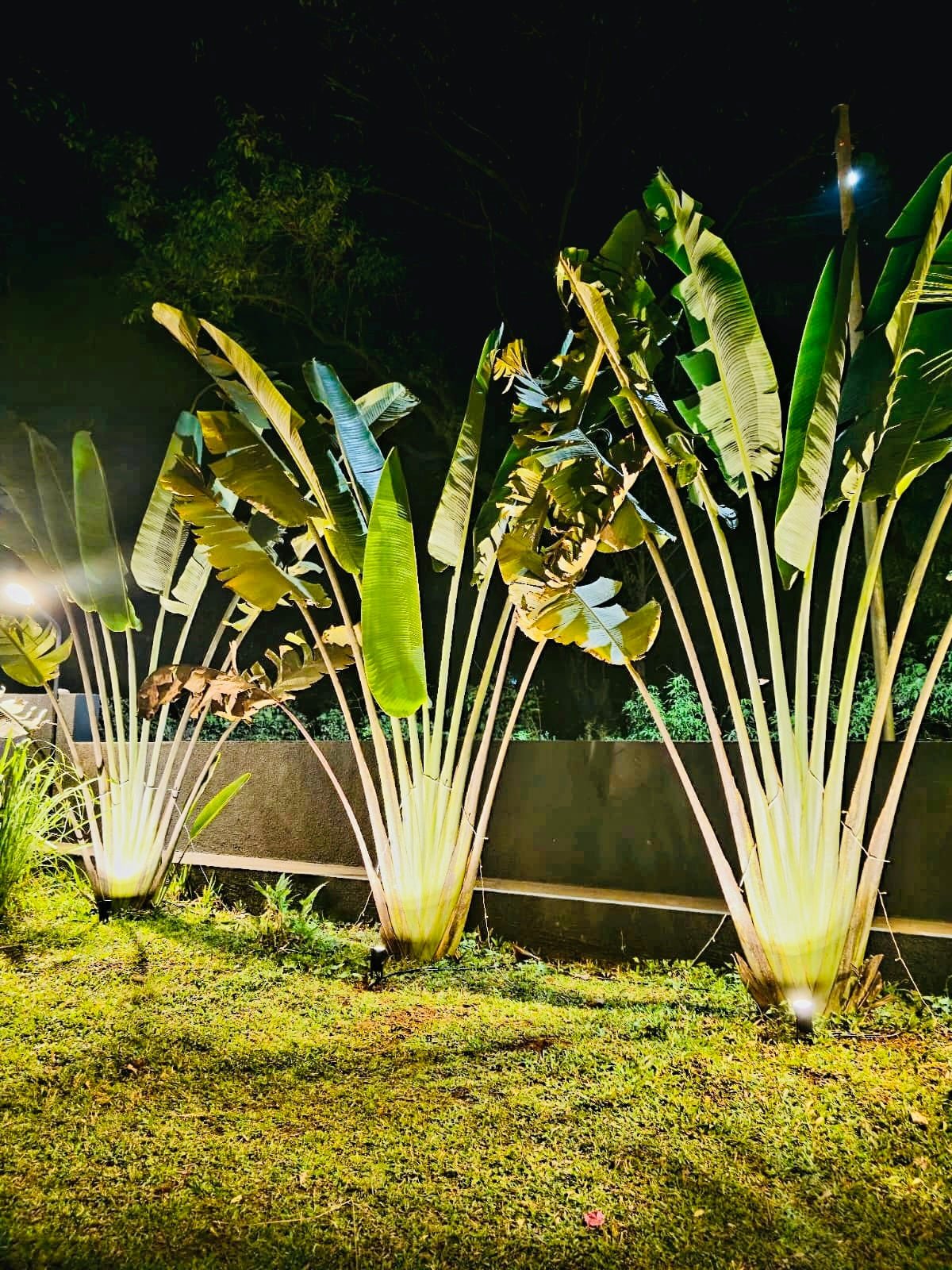 Viviana Forest 4BHK Villa Lonavala