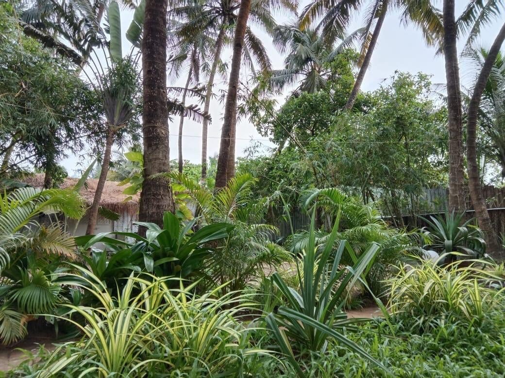 Tropical private estate by the sea