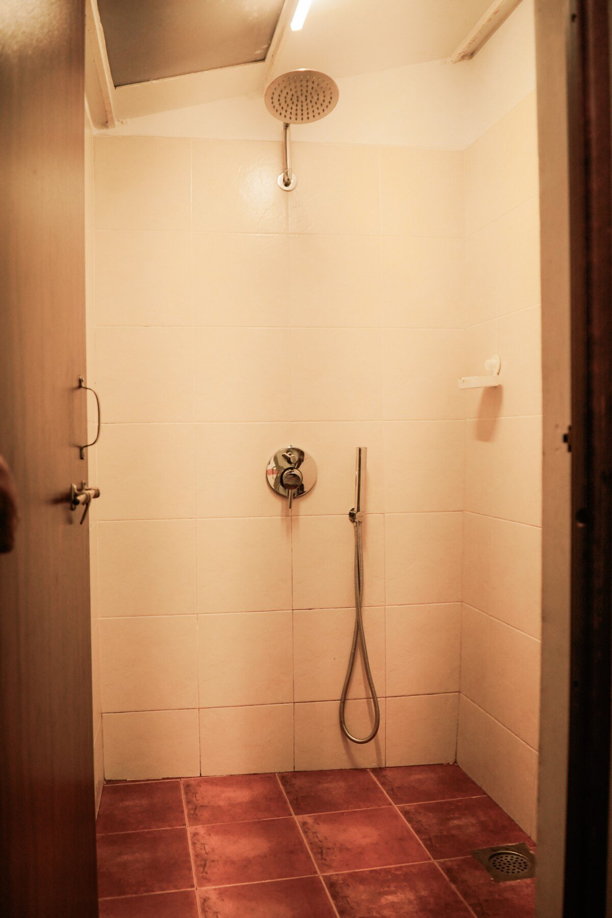 Seaside Serenity: Lilia Goa