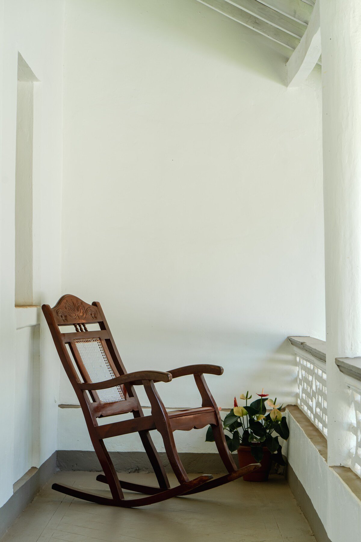 Seaside Serenity: Lilia Goa