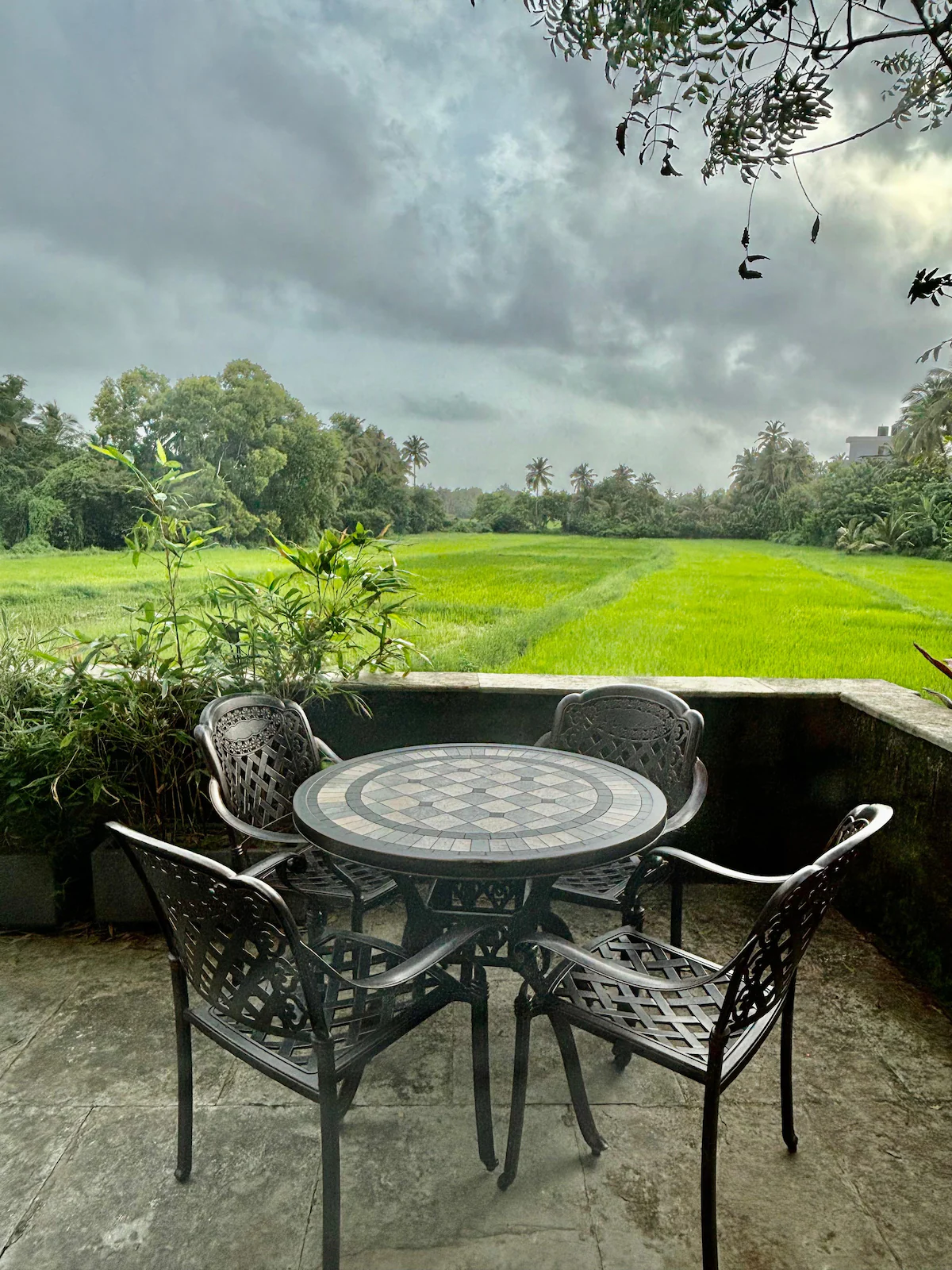 Terra Verde Goa