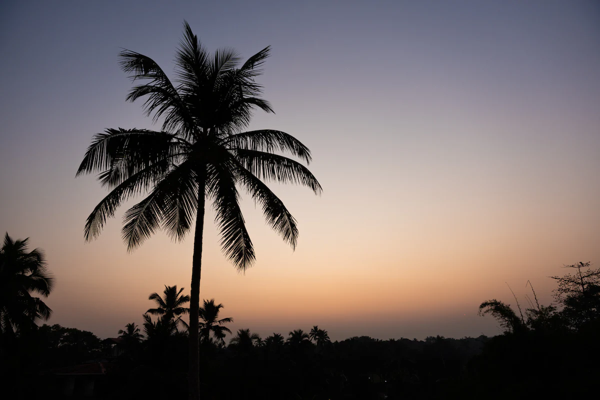 Villa Amarante Benaulim Goa