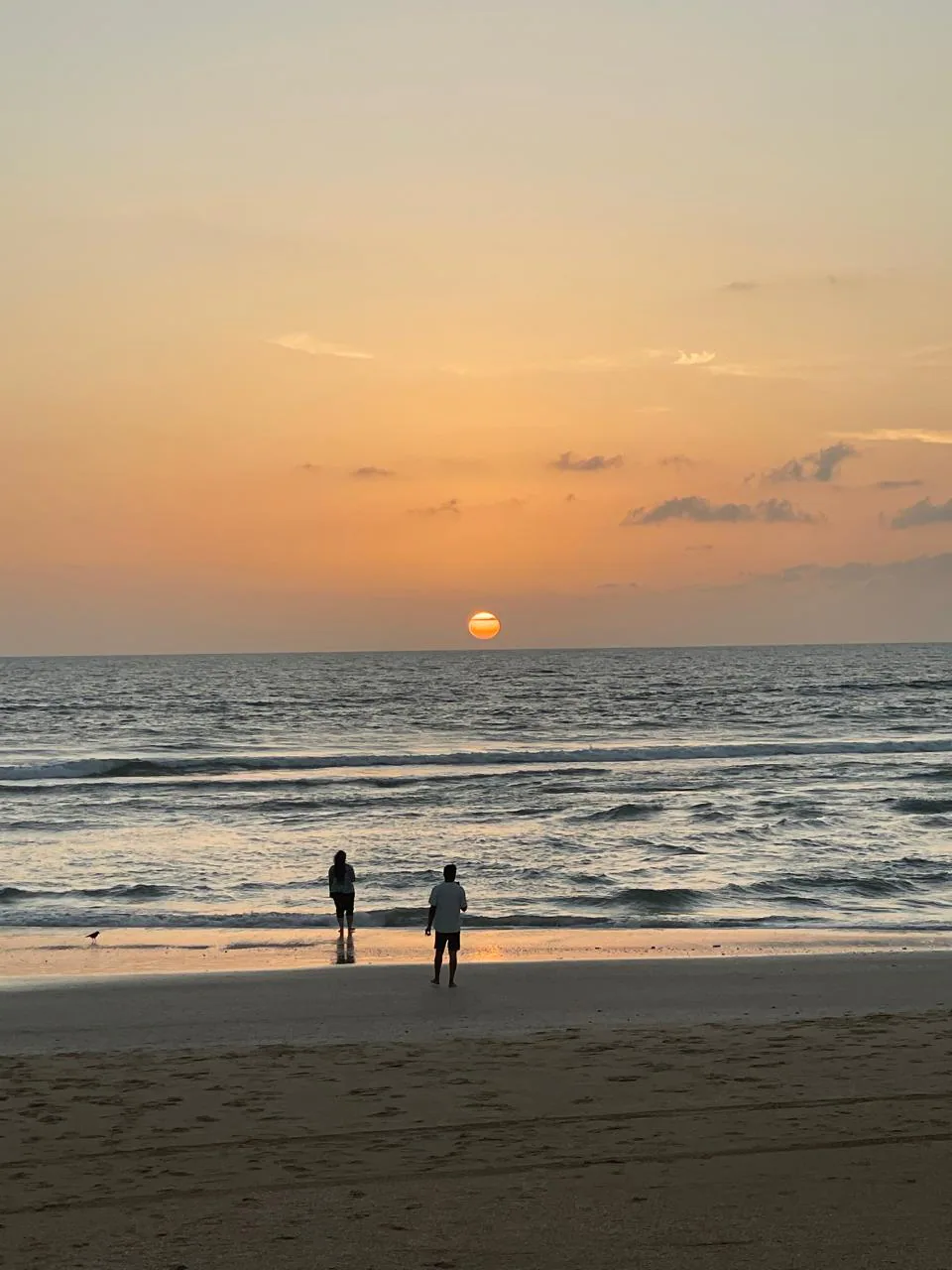 Villa J in Goa