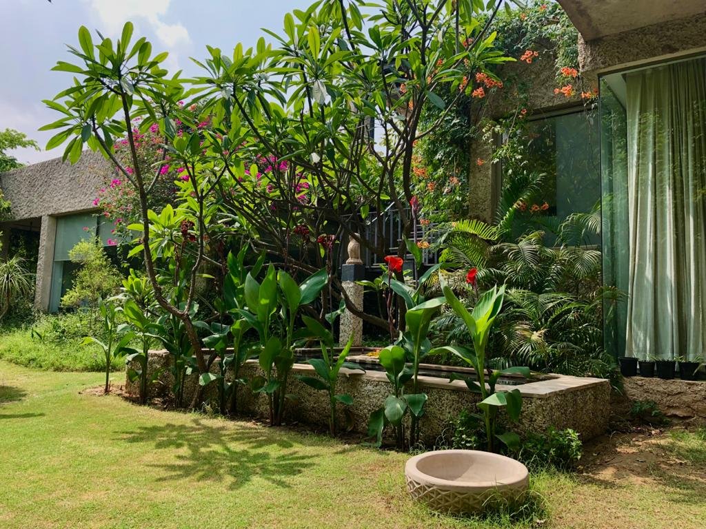 IvyBridge Gurgaon