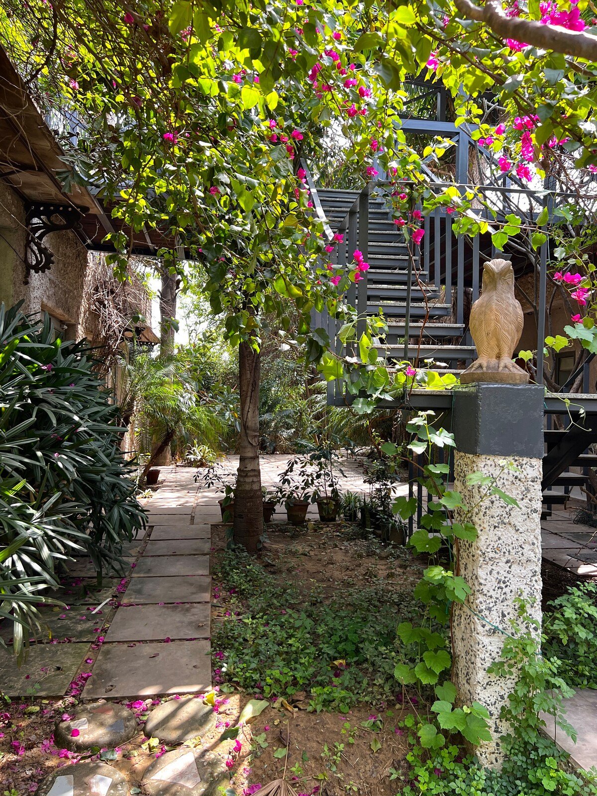 IvyBridge Gurgaon
