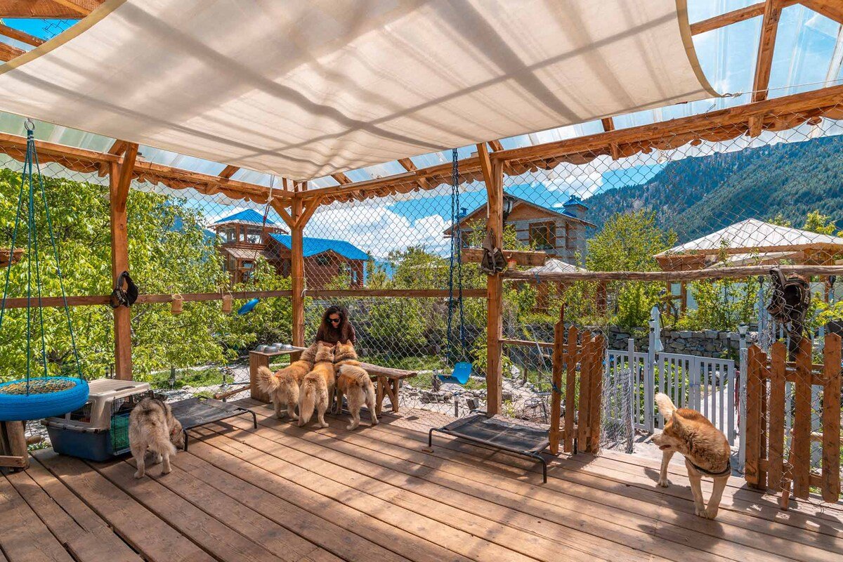 Chalet Shanag Manali