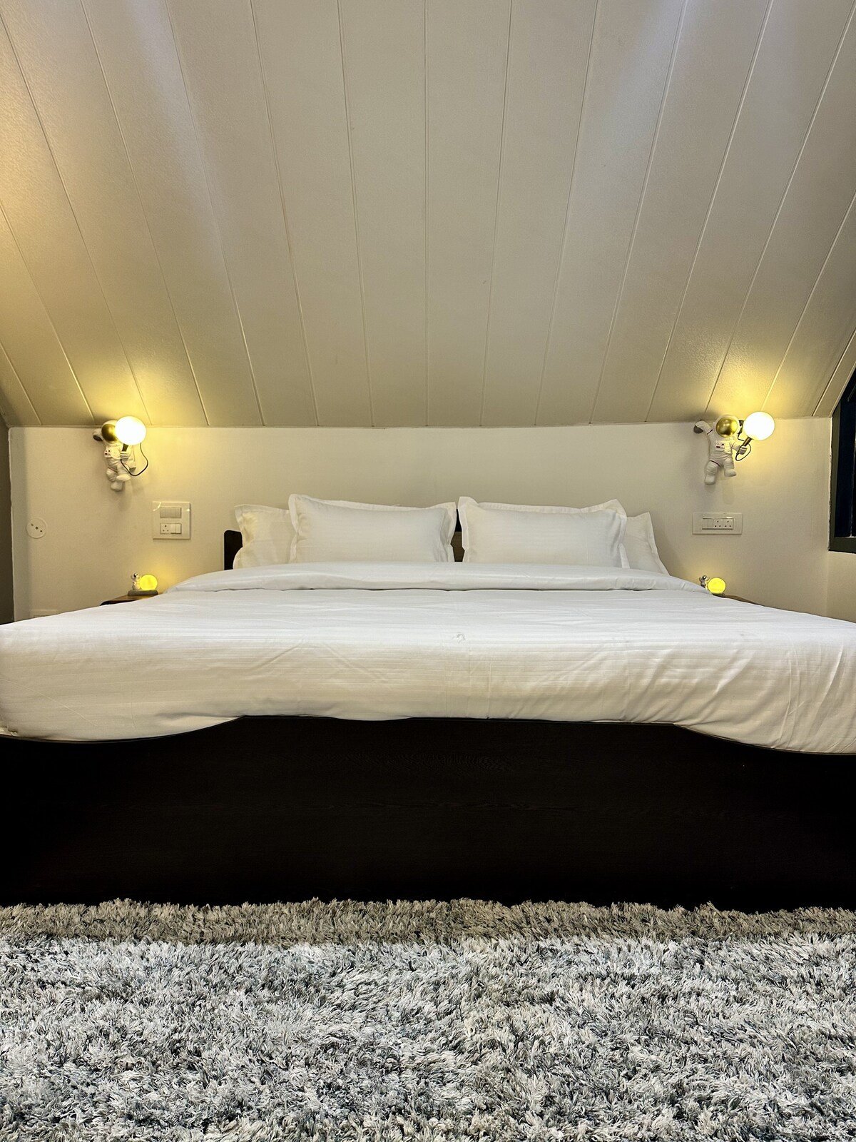Stargazing Villa with Heated Pools Manali