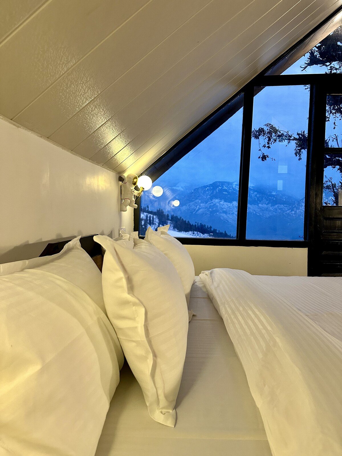 Stargazing Villa with Heated Pools Manali