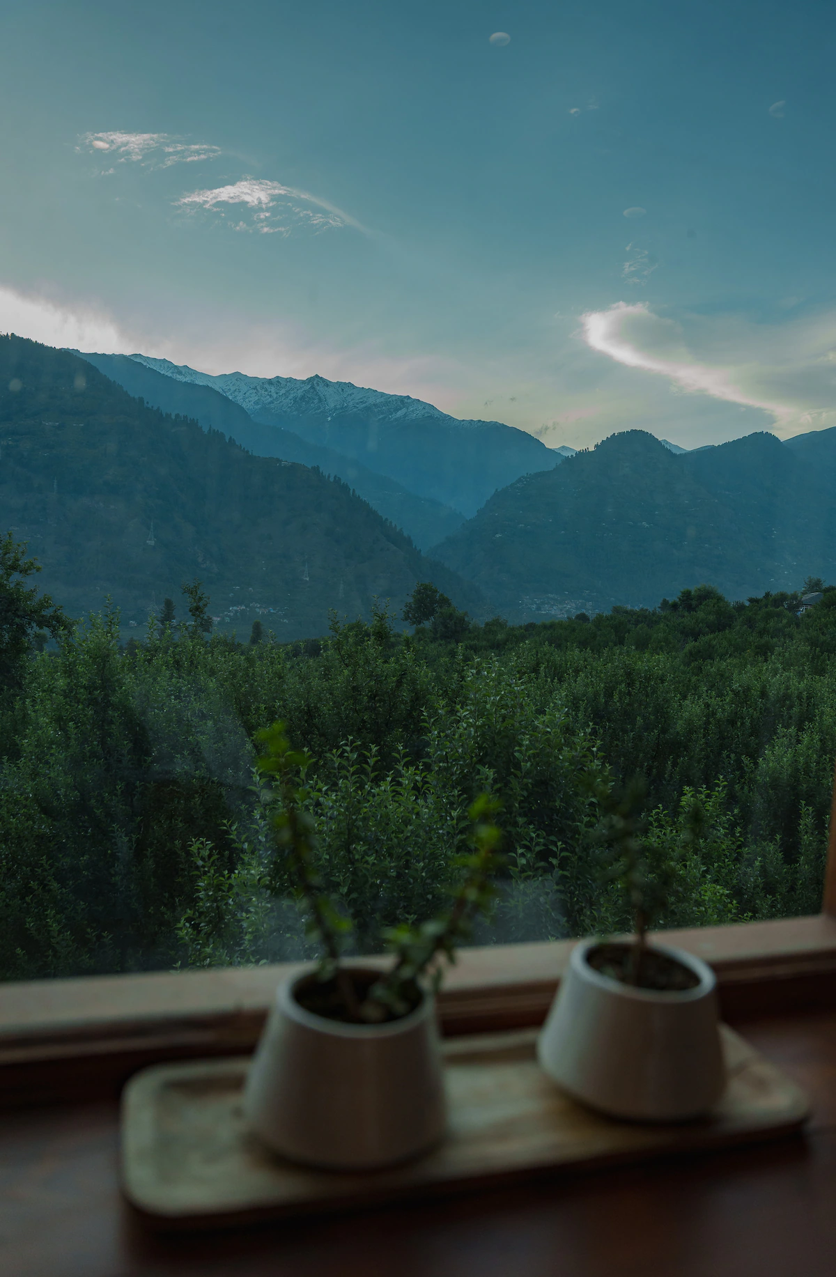 The Izuna Villa Manali
