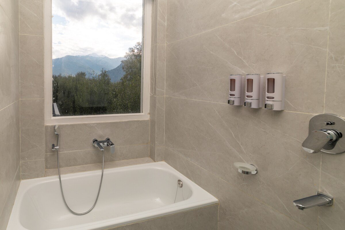 Whistling Thrush Villa Manali