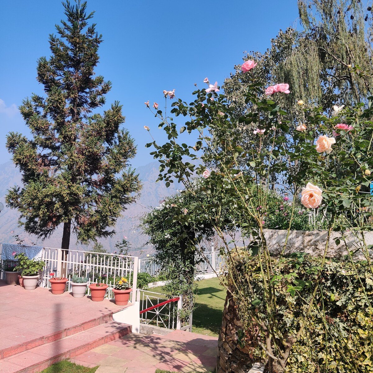 Breezedale Mashobra Shimla