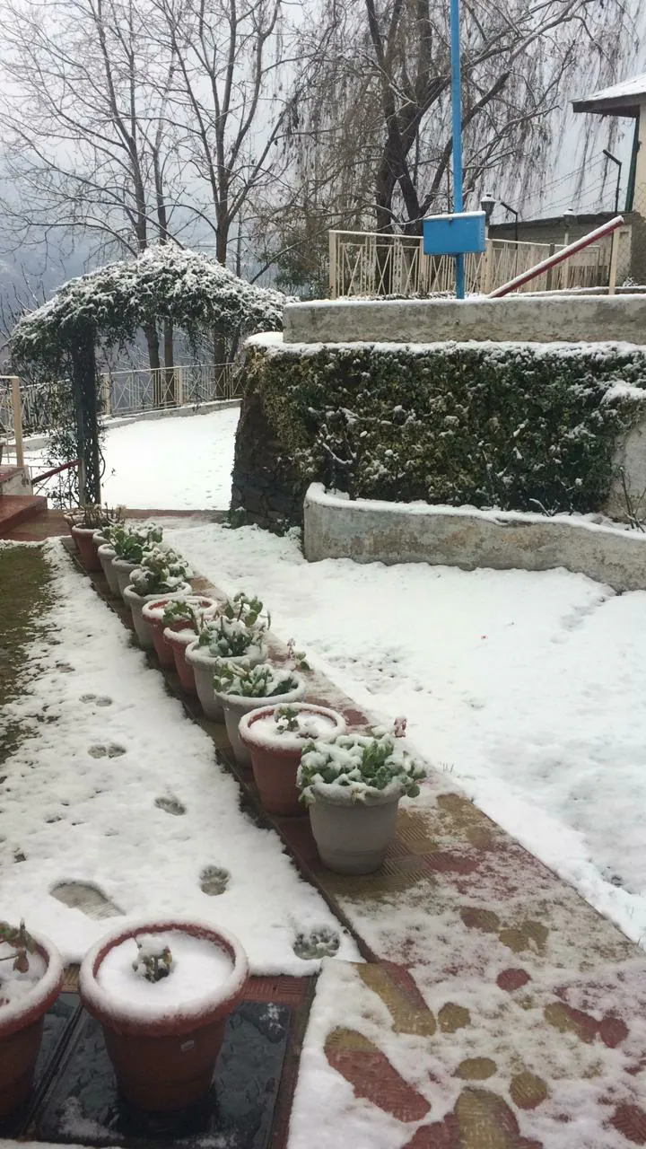 Breezedale Mashobra Shimla