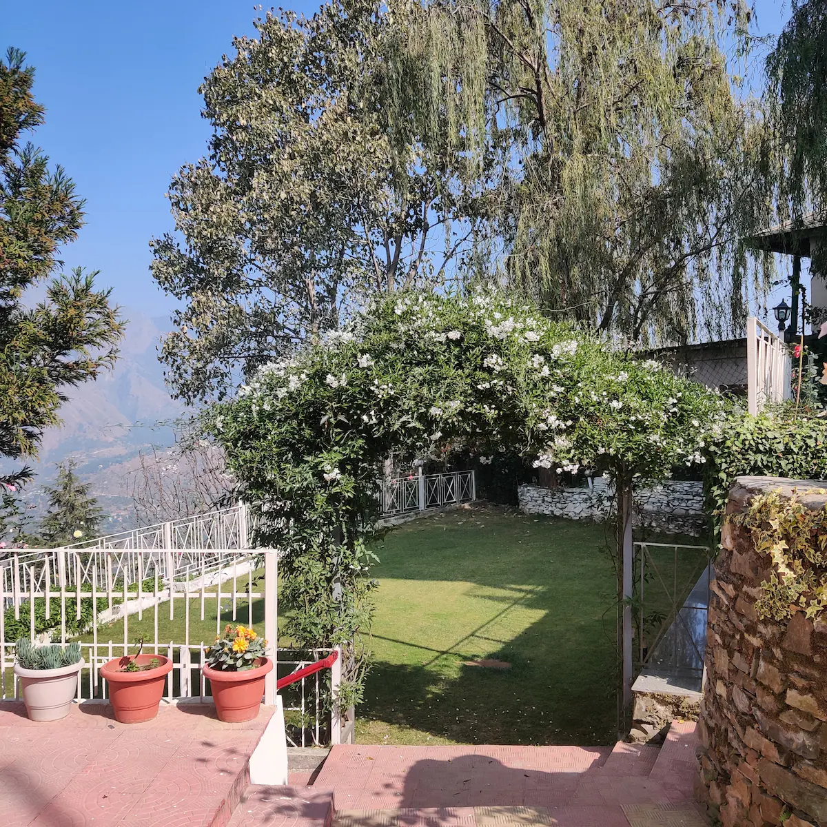 Breezedale Mashobra Shimla