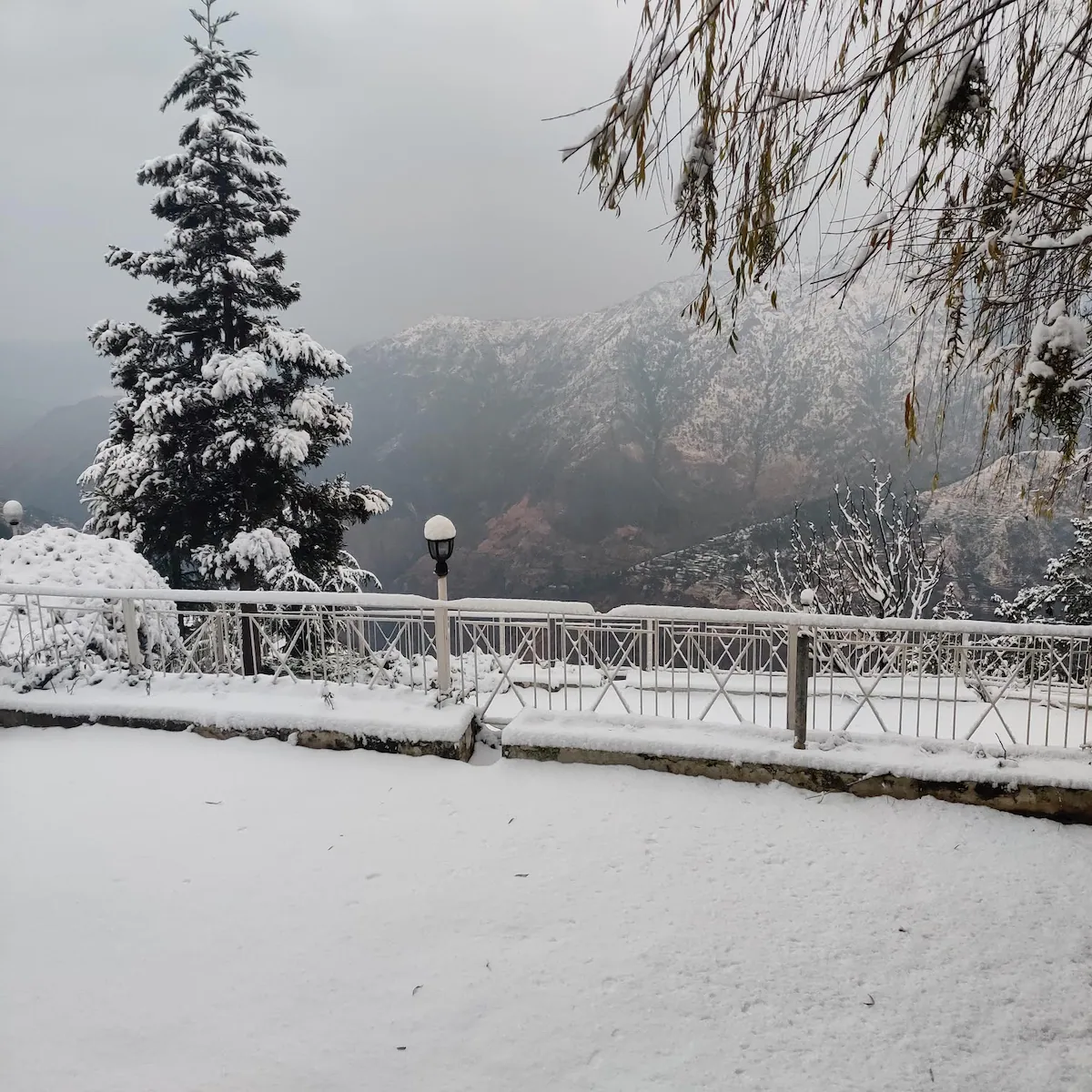 Breezedale Mashobra Shimla