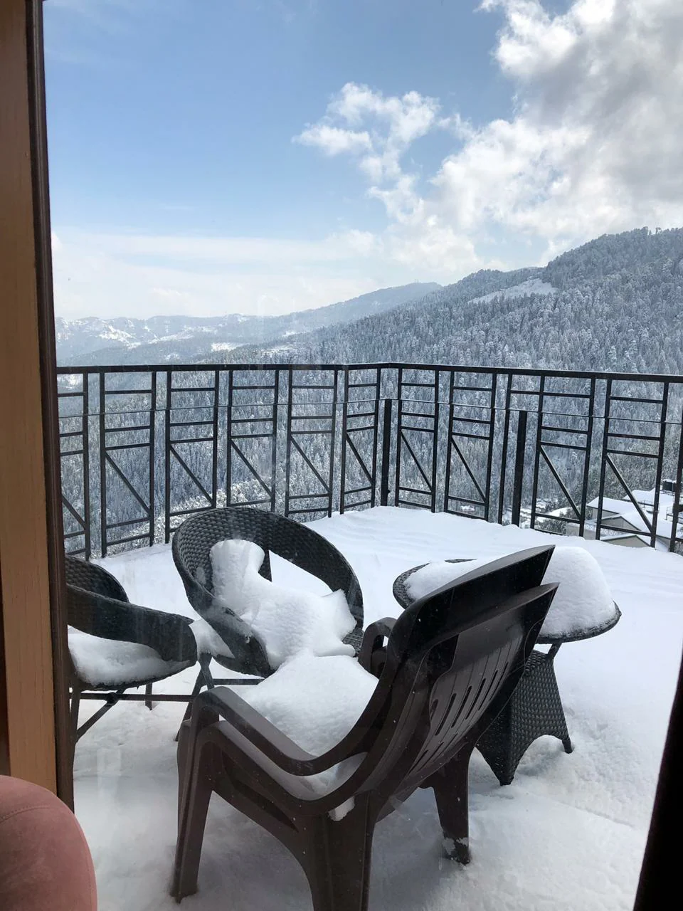The Berry Cove Mashobra Shimla