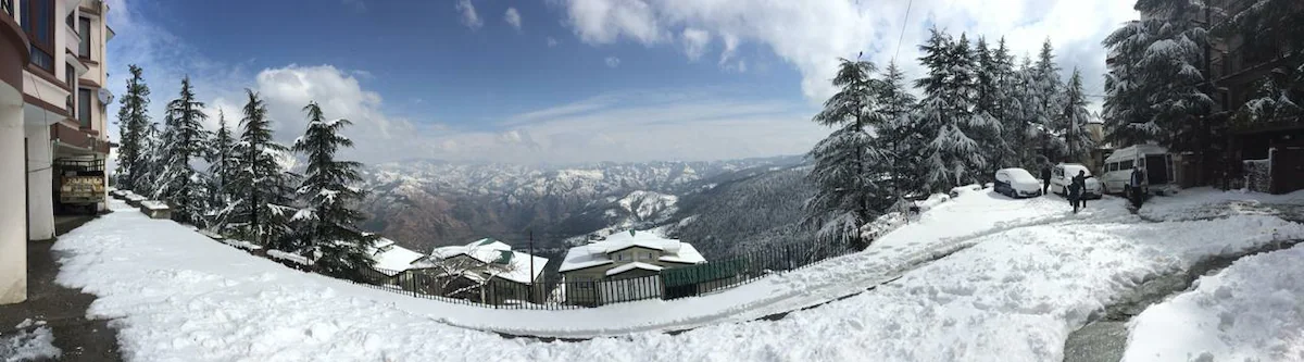 The Berry Cove Mashobra Shimla