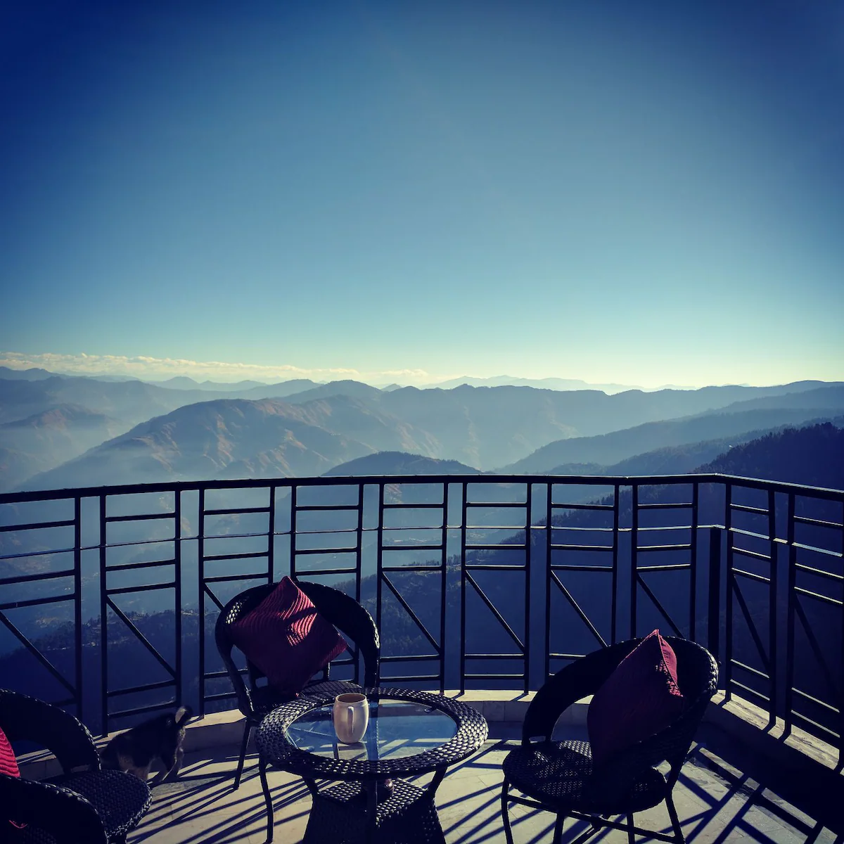 The Cloudberry Mashobra Shimla