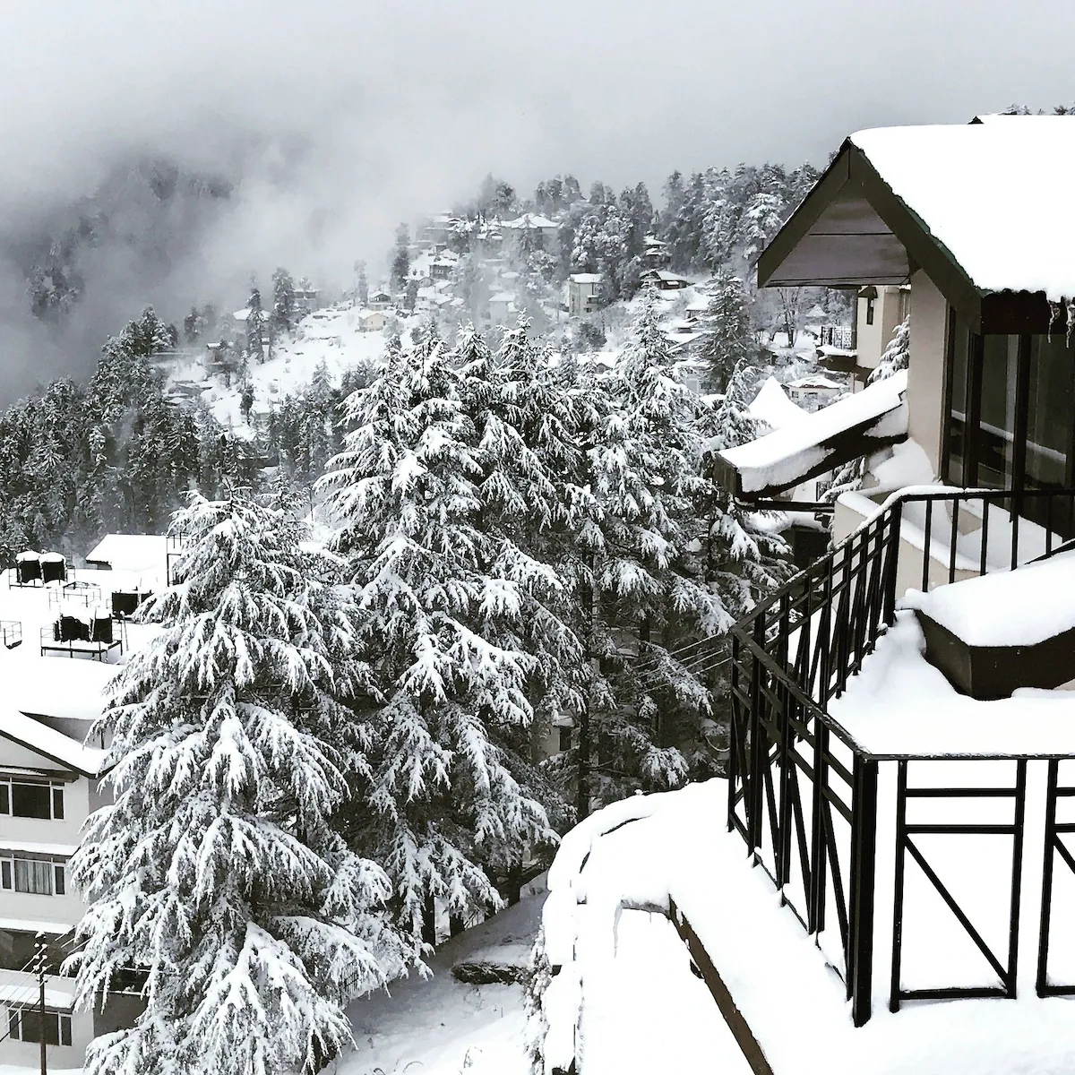 The Cloudberry Mashobra Shimla
