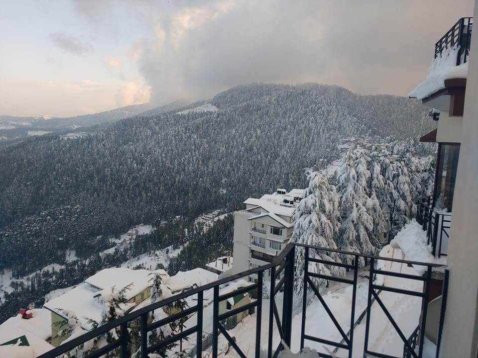 The Plumcove Mashobra Shimla