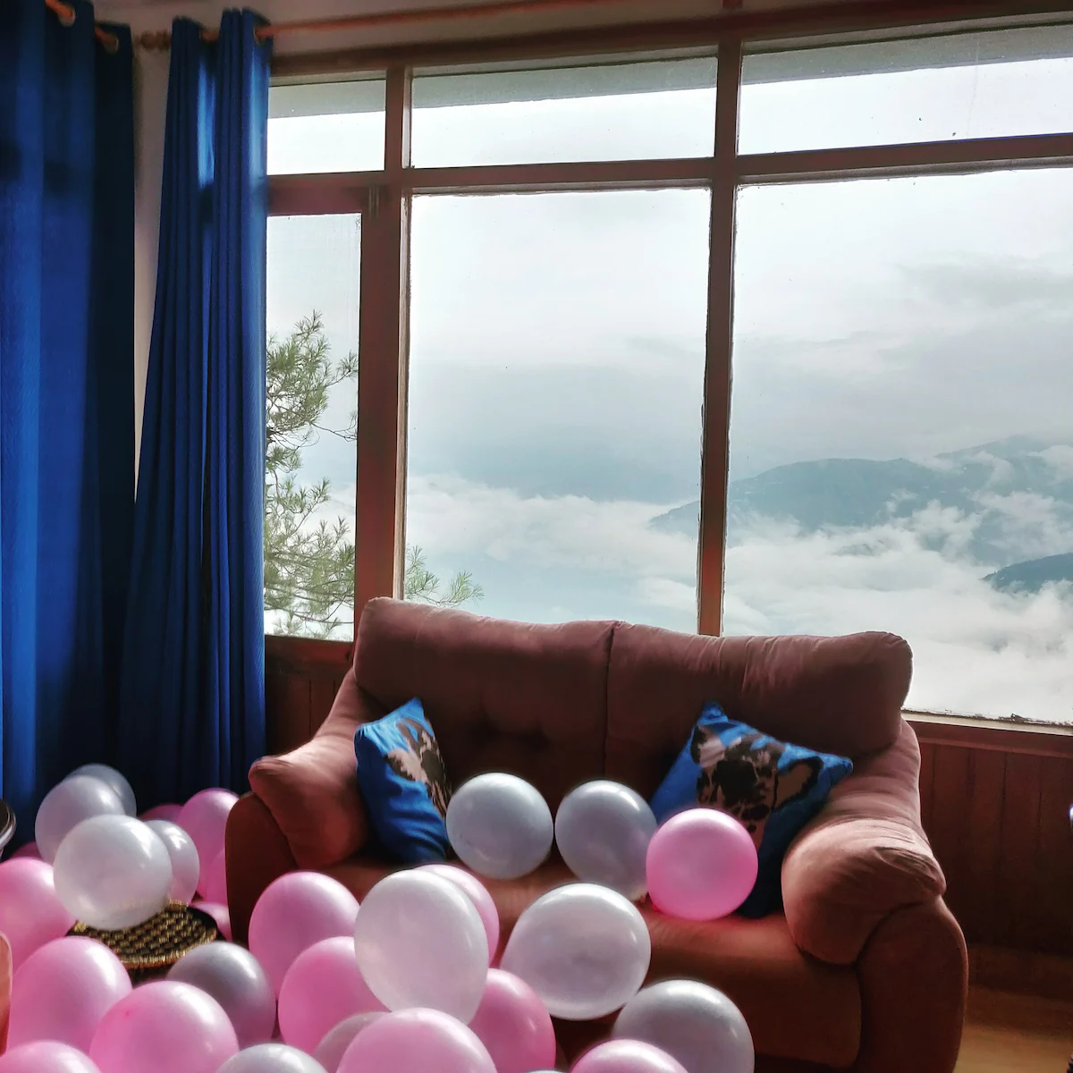 The Plumcove Mashobra Shimla